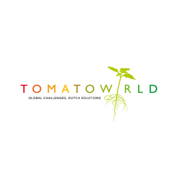 Tomatoworld - global challenges, Dutch solutions