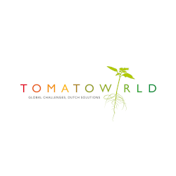 Tomatoworld - global challenges, Dutch solutions