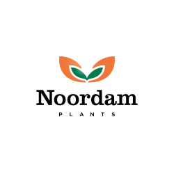 Noordam Plants