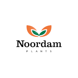 Noordam Plants