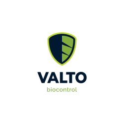 Valto