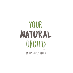 Your Natural Orchid - Enjoy! Stolk Flora