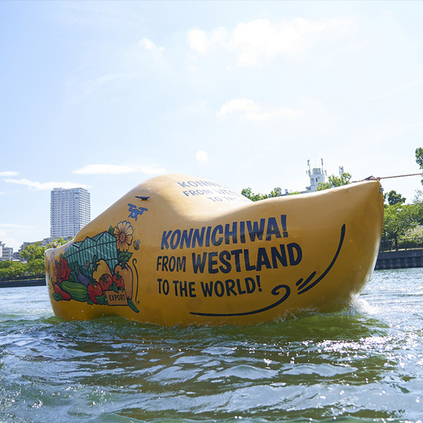 ¡Konnichiwa! Desde Westland
